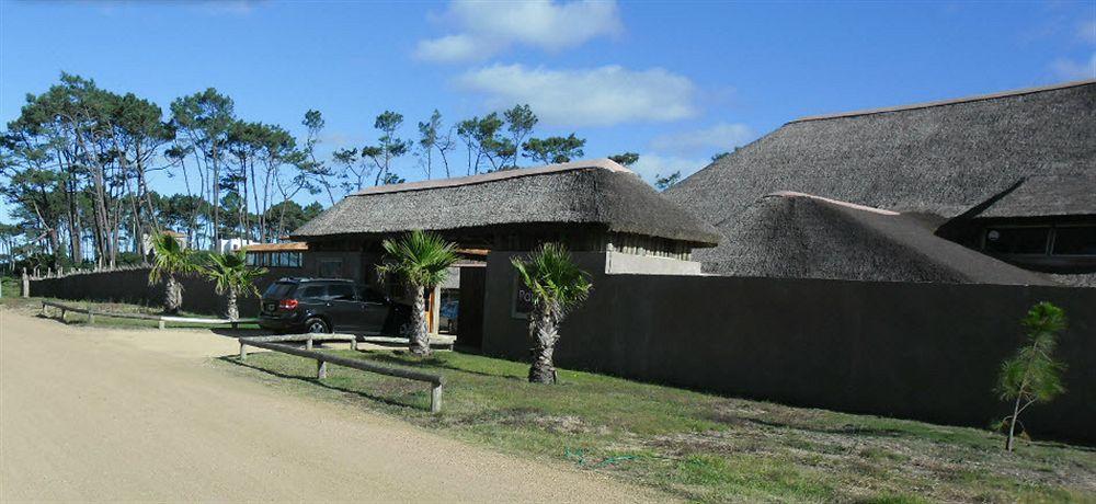 Punta del Este Arenas Hotel Chihuahua Exterior foto